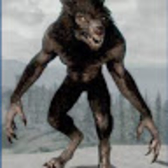 Meet your Posher, King - Picture 1 of 2